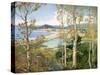 Through the Trees-Joseph Birren-Stretched Canvas