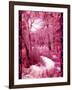 Through The Trees-Ruth Palmer-Framed Art Print