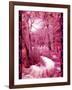 Through The Trees-Ruth Palmer-Framed Art Print