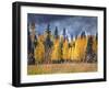 Through the Yellow Trees I-David Drost-Framed Photographic Print