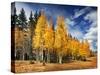 Through the Yellow Trees II-David Drost-Stretched Canvas