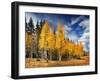 Through the Yellow Trees II-David Drost-Framed Photographic Print