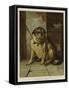 Throw Physic to the Dogs-Edwin Douglas-Framed Stretched Canvas