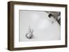 Throwing Money down the Drain-Duncan Andison-Framed Photographic Print