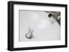 Throwing Money down the Drain-Duncan Andison-Framed Photographic Print