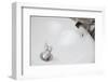 Throwing Money down the Drain-Duncan Andison-Framed Photographic Print