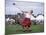 Throwing the Light Hammer, Aboyne Highland Games, Aboyne, Scotland, United Kingdom-Lousie Murray-Mounted Photographic Print