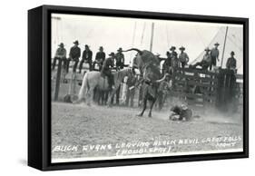 Thrown Bull-Rider, Montana-null-Framed Stretched Canvas