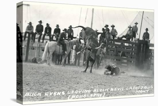 Thrown Bull-Rider, Montana-null-Stretched Canvas