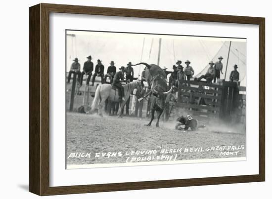 Thrown Bull-Rider, Montana-null-Framed Art Print