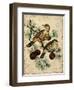 Thrush-Kate Ward Thacker-Framed Giclee Print