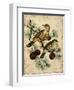 Thrush-Kate Ward Thacker-Framed Giclee Print