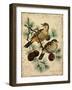 Thrush-Kate Ward Thacker-Framed Giclee Print