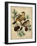 Thrush-Kate Ward Thacker-Framed Giclee Print