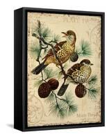 Thrush-Kate Ward Thacker-Framed Stretched Canvas