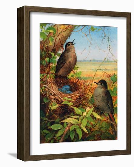 Thrushes by their Nest-Fidelia Bridges-Framed Giclee Print