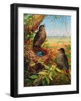 Thrushes by their Nest-Fidelia Bridges-Framed Giclee Print