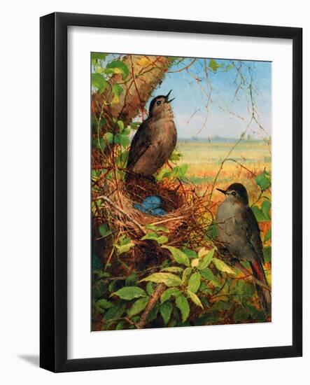 Thrushes by their Nest-Fidelia Bridges-Framed Giclee Print