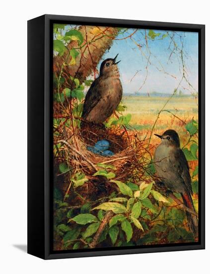 Thrushes by their Nest-Fidelia Bridges-Framed Stretched Canvas