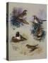 Thrushes-Archibald Thorburn-Stretched Canvas