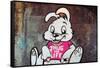 Thug For Life Bunny Rabbit Graffiti-null-Framed Stretched Canvas