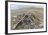 Thule House Remains in Dundas Harbour, Devon Island, Nunavut, Canada, North America-Michael-Framed Photographic Print