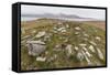 Thule House Remains in Dundas Harbour, Devon Island, Nunavut, Canada, North America-Michael-Framed Stretched Canvas