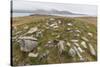 Thule House Remains in Dundas Harbour, Devon Island, Nunavut, Canada, North America-Michael-Stretched Canvas
