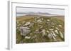 Thule House Remains in Dundas Harbour, Devon Island, Nunavut, Canada, North America-Michael-Framed Photographic Print