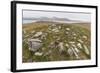 Thule House Remains in Dundas Harbour, Devon Island, Nunavut, Canada, North America-Michael-Framed Photographic Print