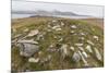 Thule House Remains in Dundas Harbour, Devon Island, Nunavut, Canada, North America-Michael-Mounted Photographic Print