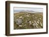 Thule House Remains in Dundas Harbour, Devon Island, Nunavut, Canada, North America-Michael-Framed Photographic Print