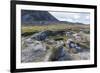 Thule Semi-Subterranean Winter Home Sites in Fechem Bay-Michael-Framed Photographic Print