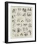 Thumb-Nail Sketches Round the Isle of Wight-null-Framed Giclee Print