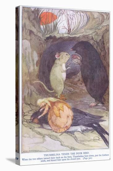 Thumbelina Tends the Poor Bird-Anne Anderson-Stretched Canvas