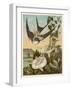 Thumbkinetta (Tommelise) Rides on a Swallow's Back-Eleanor Vere Boyle-Framed Art Print