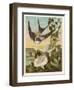 Thumbkinetta (Tommelise) Rides on a Swallow's Back-Eleanor Vere Boyle-Framed Art Print