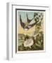 Thumbkinetta (Tommelise) Rides on a Swallow's Back-Eleanor Vere Boyle-Framed Art Print