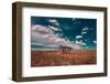 Thunder Basin National Grassland-Belinda Shi-Framed Photographic Print