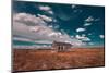 Thunder Basin National Grassland-Belinda Shi-Mounted Photographic Print