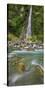Thunder Creek Falls, Mount Aspiring National Park, Hating Passport, West Coast, South Island-Rainer Mirau-Stretched Canvas