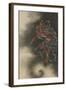 Thunder God, Edo Period, 1847-Katsushika Hokusai-Framed Giclee Print