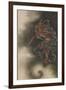 Thunder God, Edo Period, 1847-Katsushika Hokusai-Framed Giclee Print