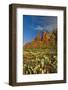 Thunder Mountain Trail, Sedona, Arizona, Usa-Michel Hersen-Framed Photographic Print