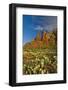 Thunder Mountain Trail, Sedona, Arizona, Usa-Michel Hersen-Framed Photographic Print