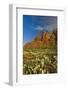 Thunder Mountain Trail, Sedona, Arizona, Usa-Michel Hersen-Framed Photographic Print