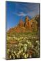 Thunder Mountain Trail, Sedona, Arizona, Usa-Michel Hersen-Mounted Photographic Print