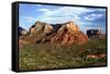 Thunder Mountains - Sedona - Arizona - United States-Philippe Hugonnard-Framed Stretched Canvas