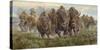Thunder on the Prairie (Bison)-Kalon Baughan-Stretched Canvas