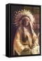 Thunderbird, Cheyenne Chief-Carl And Grace Moon-Framed Stretched Canvas